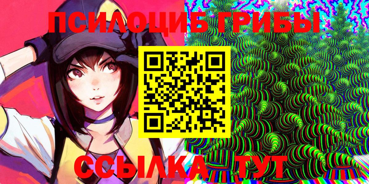 Псилоцибиновые грибы Psilocybe  Вход с VPN  Абакан 